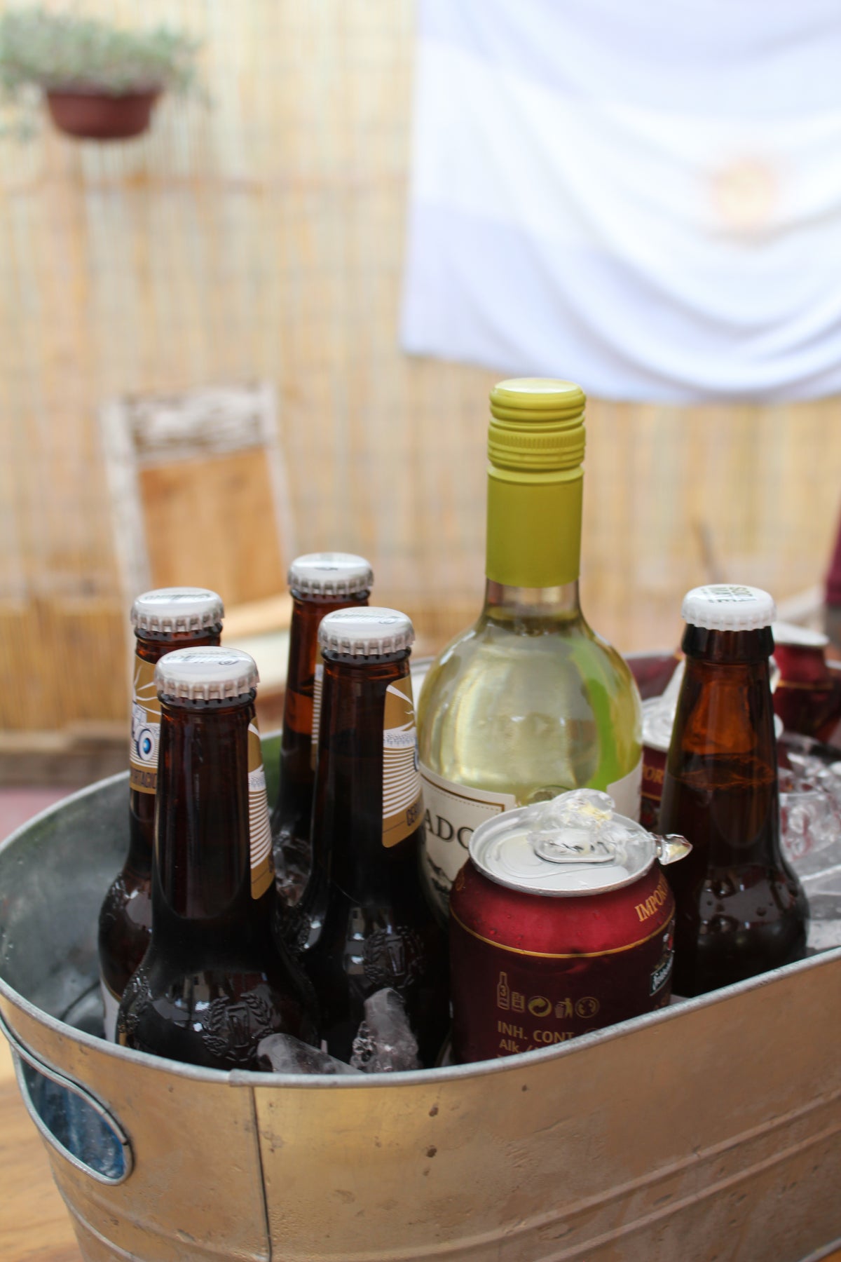 Cervezas y vino en hielo